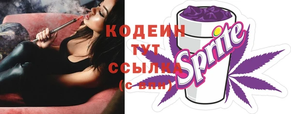 соль ск Няндома