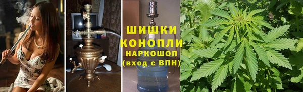 соль ск Няндома