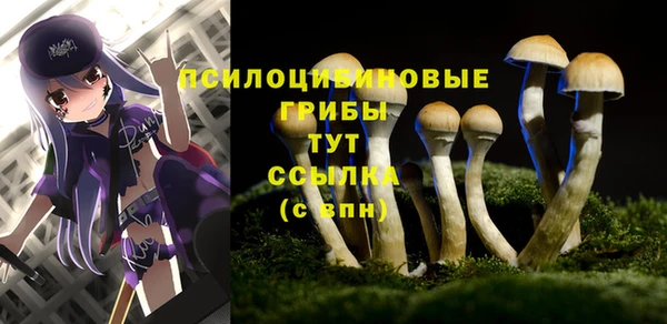 соль ск Няндома